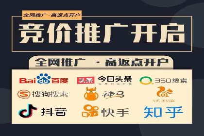 SEM搜索引擎优化策略解析与应用案例